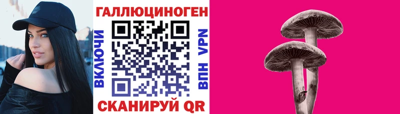 как найти   Орёл  Псилоцибиновые грибы GOLDEN TEACHER 